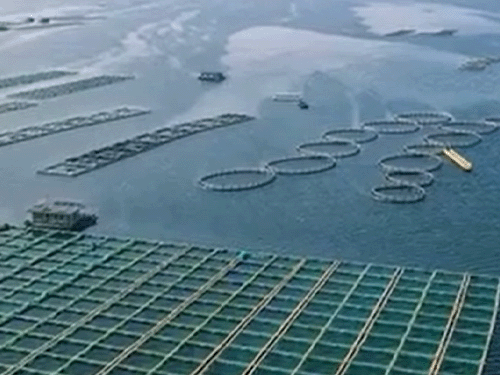 现代化海洋牧场环境在线监测系统