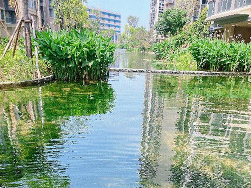 广东某大型小区水生态营建项目