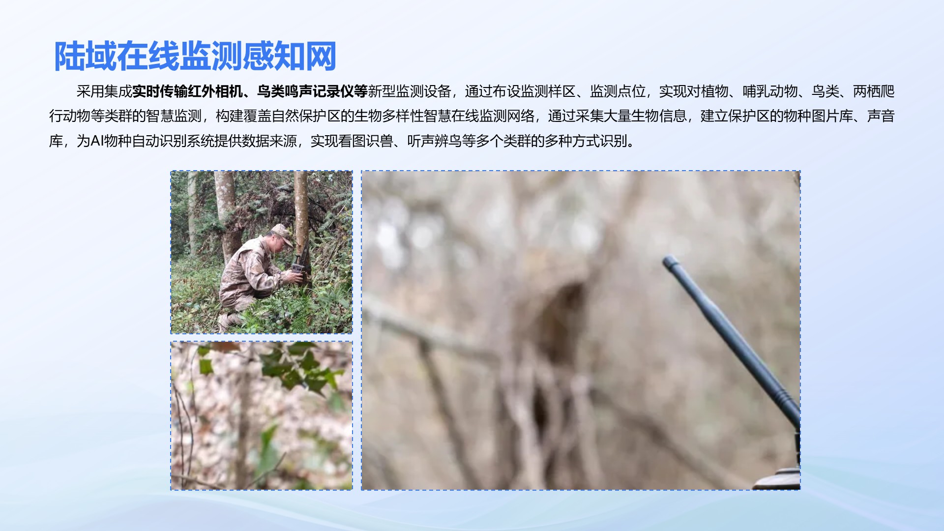幻灯片16.jpeg