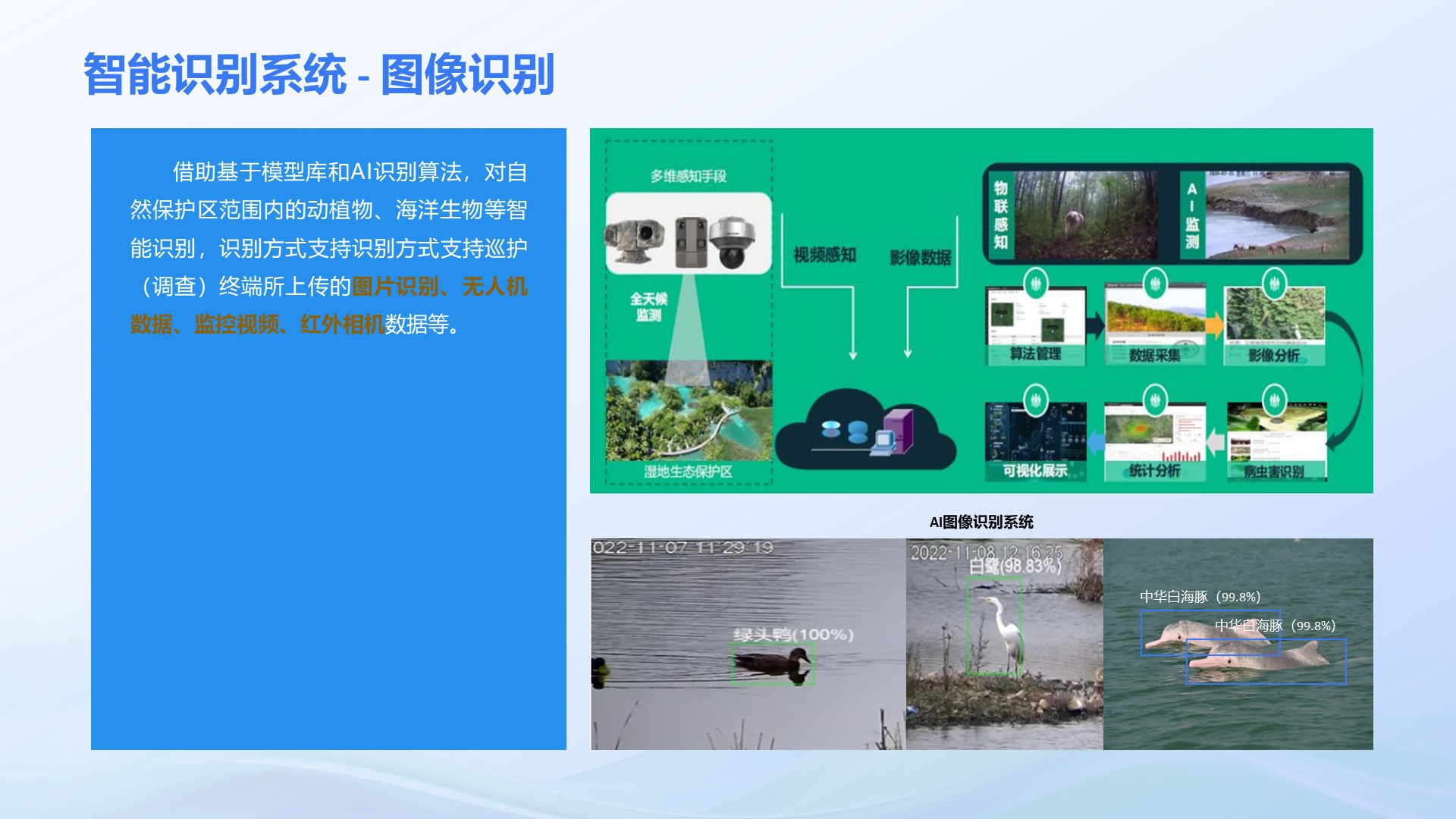 幻灯片27.jpeg