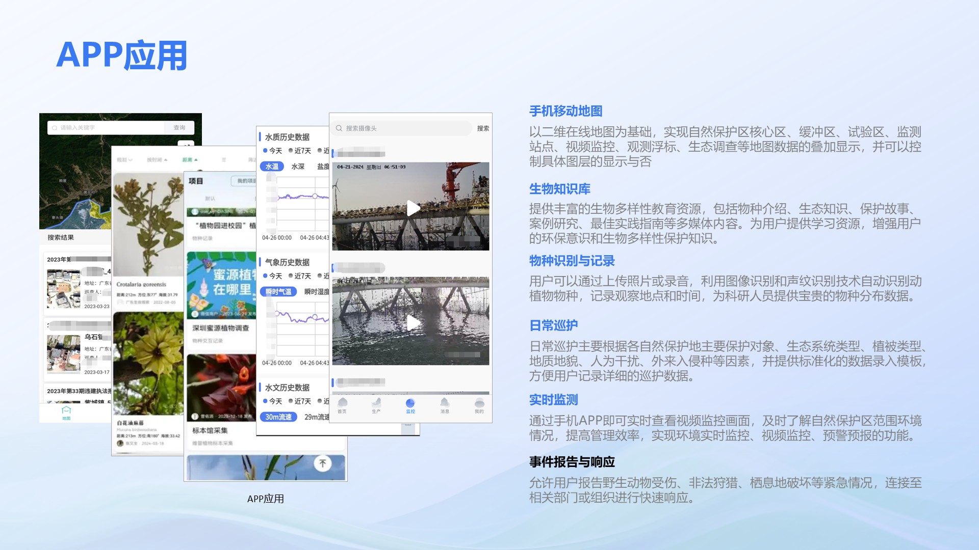 幻灯片31.jpeg